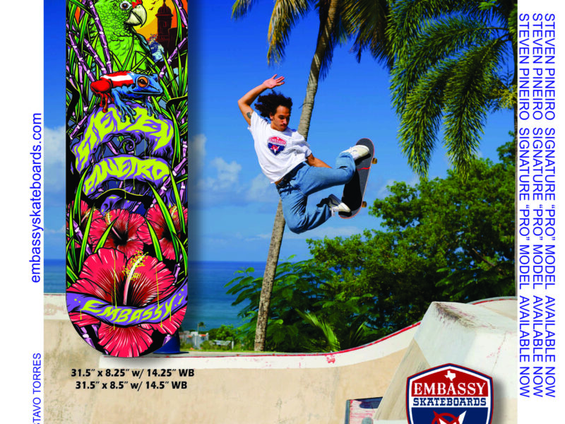Steven Pineiro "Signature/Pro Model" 8.5"